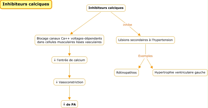 Traitements inhibiteurs calciques